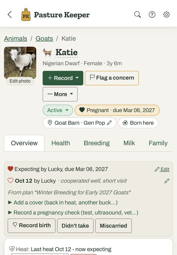 Pasture Keeper app showing Katie, a Nigerian Dwarf doe, marked pregnant and due March 6, with her breeding history.