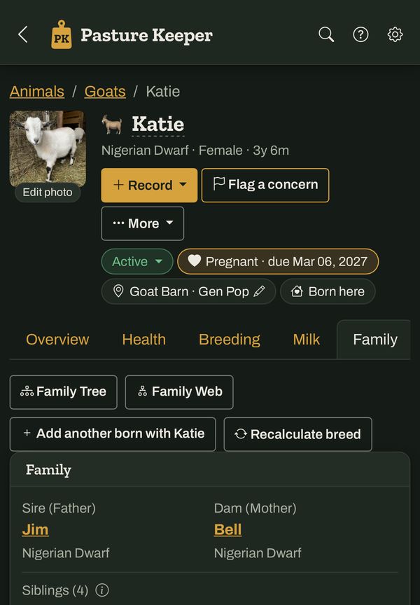 Katie's family page in dark mode, with her sire Jim, dam Bell and four half siblings.