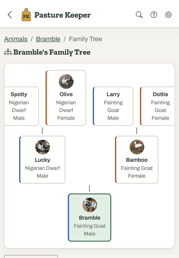 Bramble's family tree showing his parents Lucky and Bamboo and four grandparents.